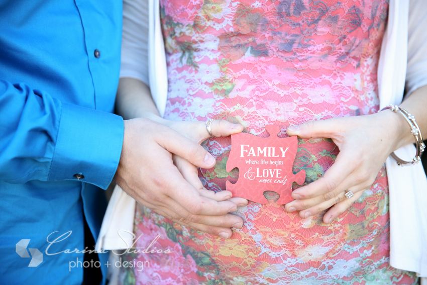 Charlotte Family Photographer Carina Studios