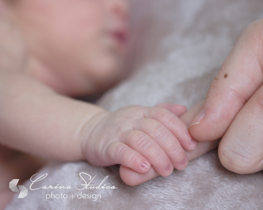 Charlotte baby photographer