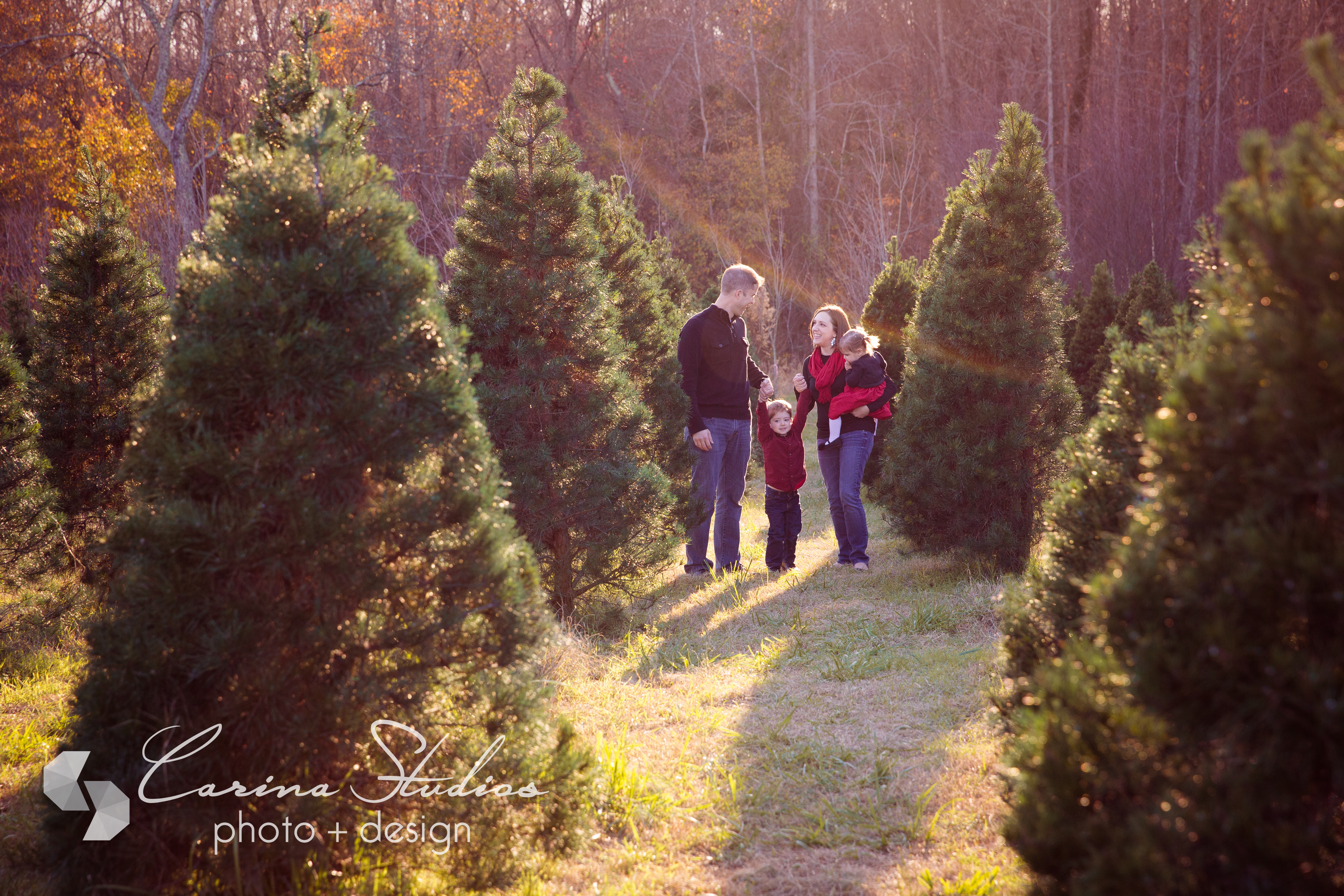 holiday card photos