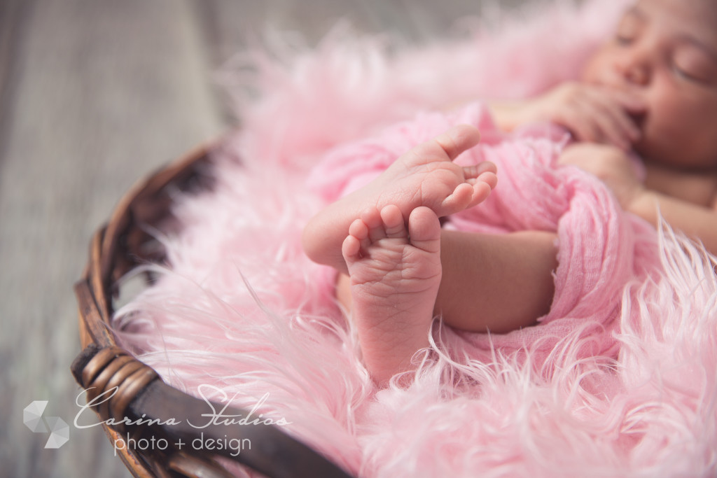 Newborn Portraits