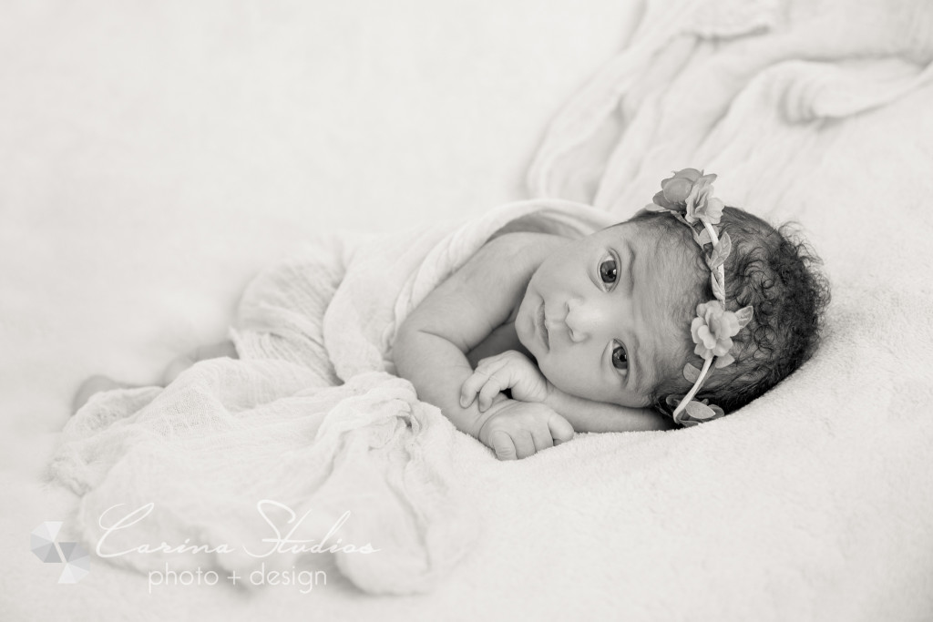 newborn portrait artist