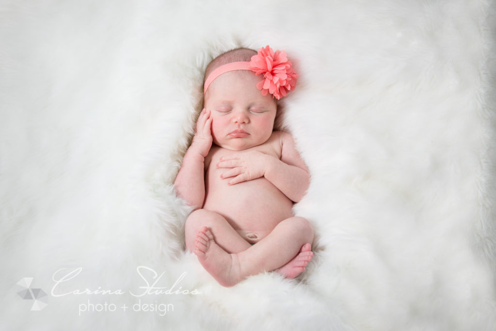 newborn photography Charlotte NC