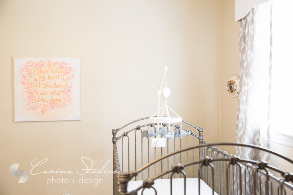 Charlotte NC Newborn Photographer and newborn lifestyle photos